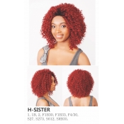R&B Collection 21 Tress 100% HUMAN PREMIUM BLENDED Magic Lace Front Wig H-SISTER